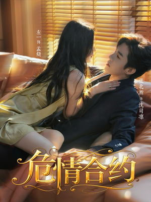 危情合约(76集) 危情合约(76集)高清无码免费看