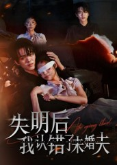 失明后我认错了未婚夫(34集) 失明后我认错了未婚夫(34集)热门短剧免费看