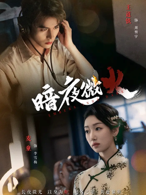暗夜微火(80集 暗夜微火(80集短剧抢先看全集