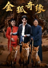 金狐奇缘(42集) 金狐奇缘(42集)短剧介绍