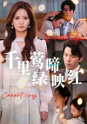 千里莺啼绿映红(63集) 千里莺啼绿映红(63集)短剧完整版免费