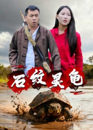 石纹灵龟(30集) 石纹灵龟(30集)分享好看短剧