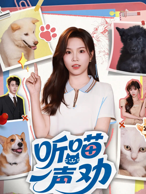 听喵一声劝（60集）免费看全集