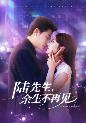 陆先生，余生不再见（88集）好看短剧看不停