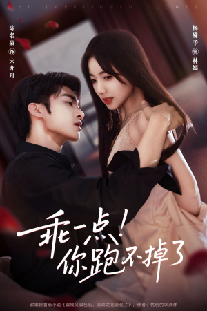 乖一点！你跑不掉了（80集）大结局太过瘾了