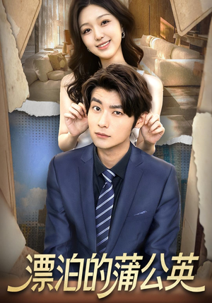 漂泊的蒲公英(60集) 漂泊的蒲公英(60集)火爆短剧抢先看