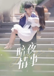 暗夜情事(100集) 暗夜情事(100集)完整版免费观看