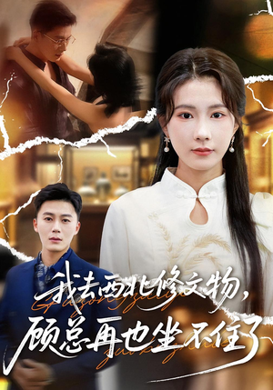 我去西北修文物,顾总再也坐不住了(46集) 我去西北修文物,顾总再也坐不住了(46集)短剧在线观看