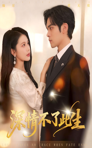 深情不了此生 (60集) 深情不了此生 (60集)最后的大结局