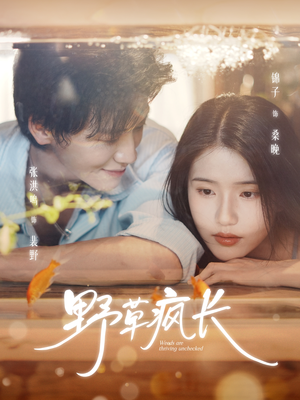 野草疯长(71集) 野草疯长(71集)超好看短剧推荐