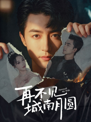 再不见城南月圆(60集) 再不见城南月圆(60集)精彩连连免费看