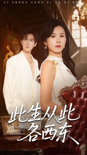 此生从此各西东(60集) 此生从此各西东(60集)全集一次看完