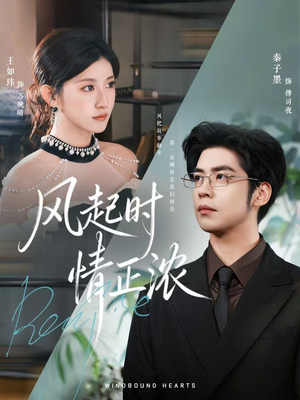 风起时情正浓(79集) 风起时情正浓(79集)精彩的短剧