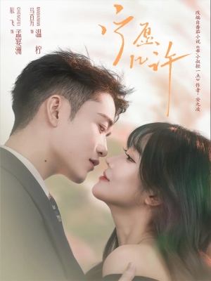 宁愿几许(78集) 宁愿几许(78集)1-102集