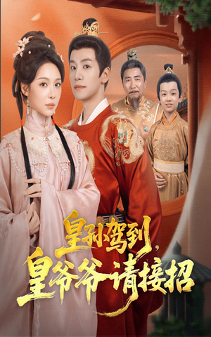 皇孙驾到皇爷爷请接招(71集) 皇孙驾到皇爷爷请接招(71集)1-102集