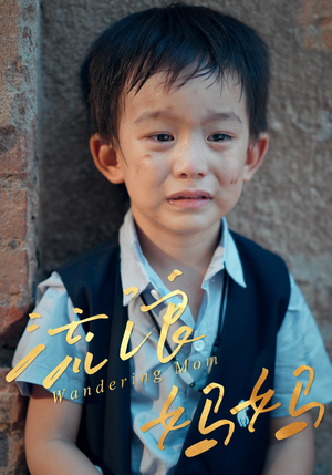 流浪妈妈(30集) 流浪妈妈(30集)短剧全集更精彩