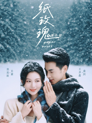 纸玫瑰第二部(80集) 纸玫瑰第二部(80集)独家短剧免费看