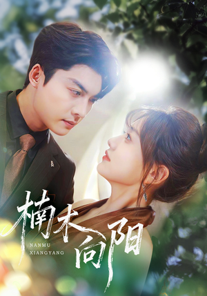 楠木向阳(70集) 楠木向阳(70集)海量短剧免费看