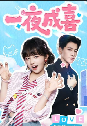 一夜成喜(60集)) 一夜成喜(60集))高清画质免费看