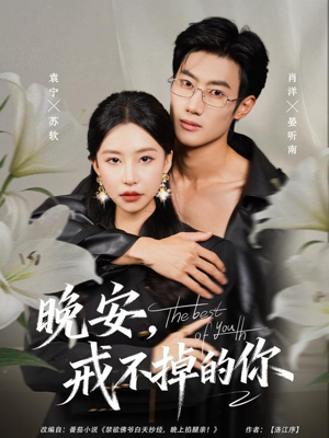 晚安,戒不掉的你(68集) 晚安,戒不掉的你(68集)精彩短剧热播