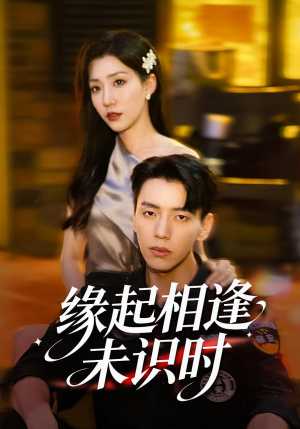 缘起相逢未识时(57集) 缘起相逢未识时(57集)短剧解说全集