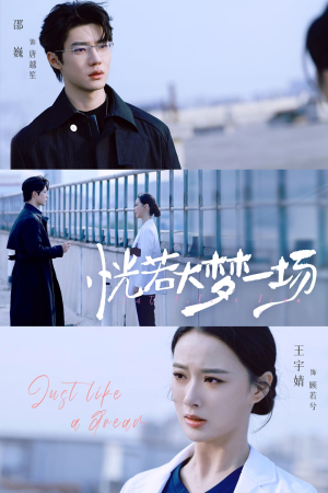 恍若大梦一场(53集) 恍若大梦一场(53集)解说