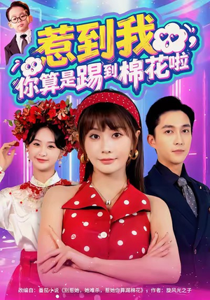 惹到我,你算是踢到棉花啦(67集) 惹到我,你算是踢到棉花啦(67集)热门短剧推荐