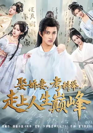 娶娇妻,考科举,走上人生巅峰(80集) 娶娇妻,考科举,走上人生巅峰(80集)推荐你们也去看