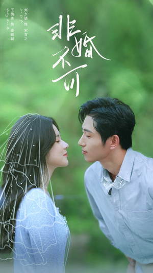 非婚不可(65集) 非婚不可(65集)高质量短剧推荐