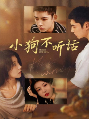 小狗不听话(70集) 小狗不听话(70集)火爆短剧抢先看