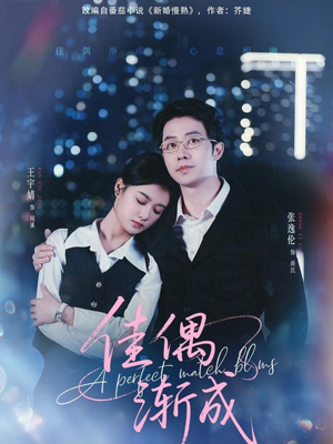 佳偶渐成(71集) 佳偶渐成(71集)精彩好看的短剧