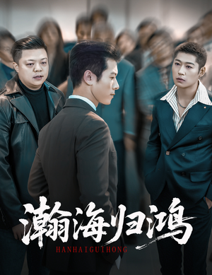 瀚海归鸿(74集) 瀚海归鸿(74集)好看的短剧推荐