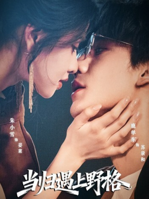 当归遇上野格(66集) 当归遇上野格(66集)哪个网站可以看