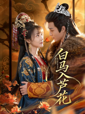 白马入芦花(59集) 白马入芦花(59集)最火短剧热播中