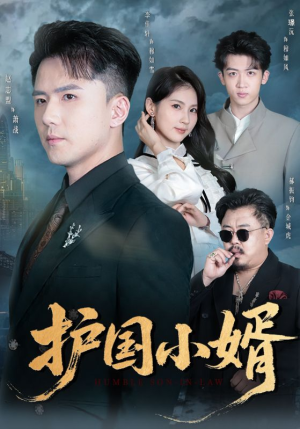 护国小婿(60集) 护国小婿(60集)爆款热门短剧