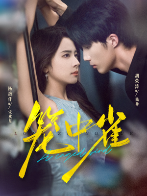 笼中雀(65集) 笼中雀(65集)评价怎么样