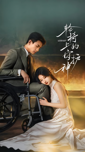 轮椅上的守护神(25集) 轮椅上的守护神(25集)海量资源免费看