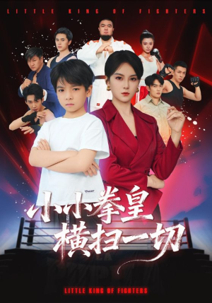 小小拳皇横扫一切（60集）360网盘观看