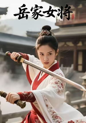 岳家女将(20集) 岳家女将(20集)全集免费