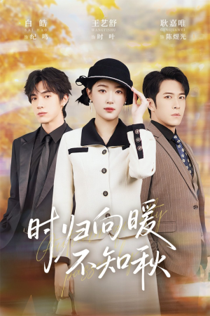 第二十八年冬（51集）全剧免费观看