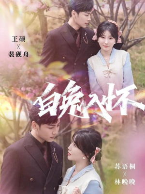 白兔入怀（60集）第三季