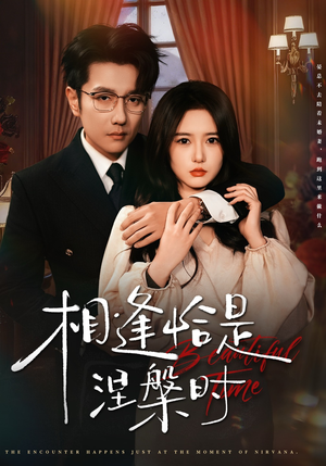 相逢恰是涅槃时(63集) 相逢恰是涅槃时(63集)全集在线看