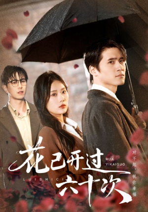 情敌交手她选择躺赢（72集）无需充值尽情看