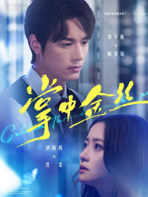 长姐她竟是隐藏大佬(60集) 长姐她竟是隐藏大佬(60集)热门爆款短剧