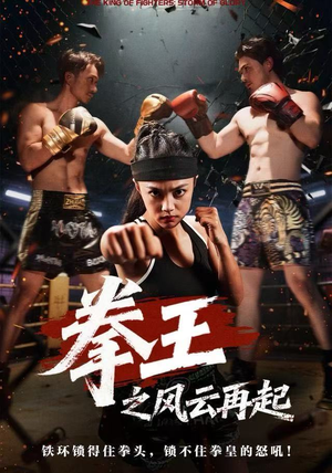 拳王之风云再起（50集）80到100集