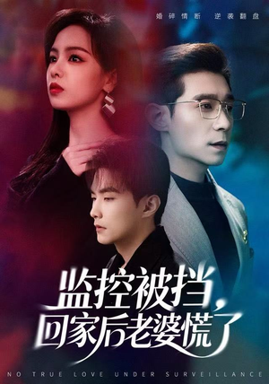 监控被挡,回家后老婆慌了(60集) 监控被挡,回家后老婆慌了(60集)免费短剧看不停