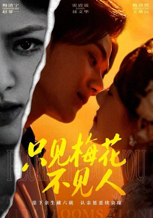 只见梅花不见人（63集）直接看到大结局