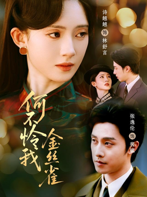 何不怜我金丝雀（60集）高清画质免费看