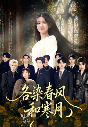 尘埃里的真千金（67集）看精彩短剧