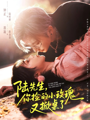 陆先生，你捡的小玫瑰又掀桌了（74集）短剧推荐更新中